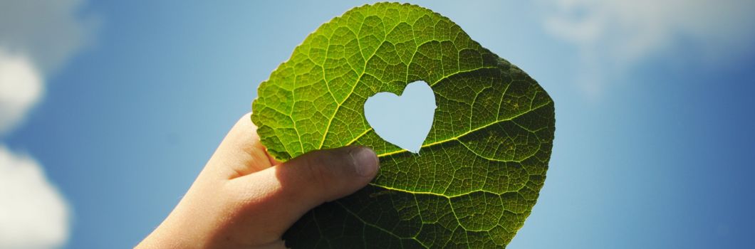 Blatt in einer Hand