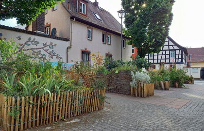 Urban Gardening