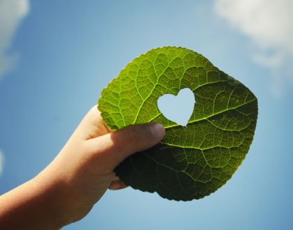 Blatt in einer Hand