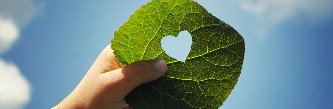 Blatt in einer Hand